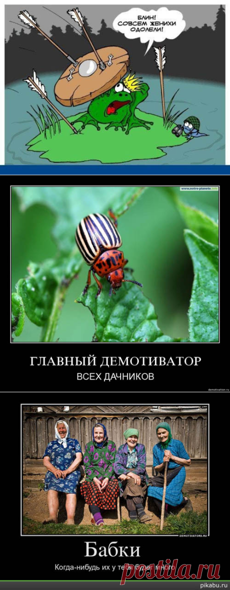 Кофе в постель урегулирует мирное разрешение проблем - так называется пост под рубрикой юмор в моем блоге. Наша жизнь - это клондайк юмора. И эти перлы надо только увидеть и записать.