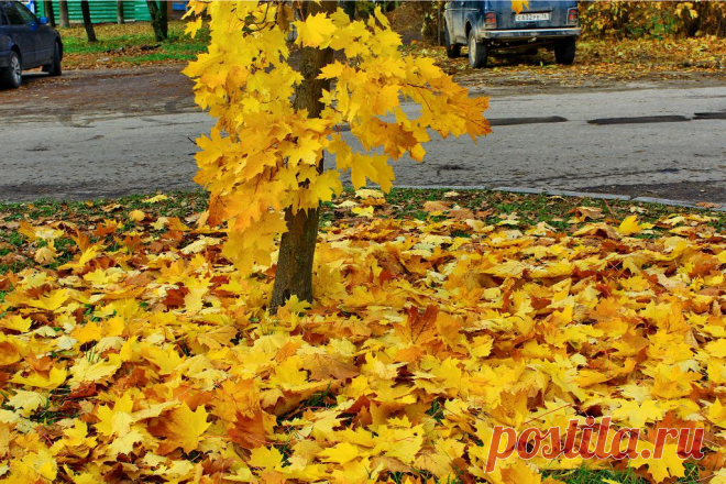 ФОТОМАСТЕРСКАЯ ПРИРОДЫ
Николай Крюков