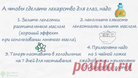 Окулисты разорятся! Лютеин восстановит зрение за копейки, рецепт эликсира для глаз
