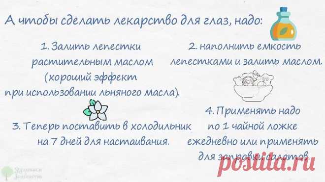 Окулисты разорятся! Лютеин восстановит зрение за копейки, рецепт эликсира для глаз