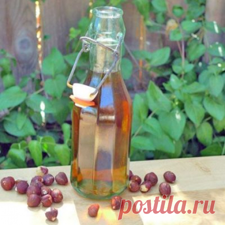 Время заготовок: домашние настойки
