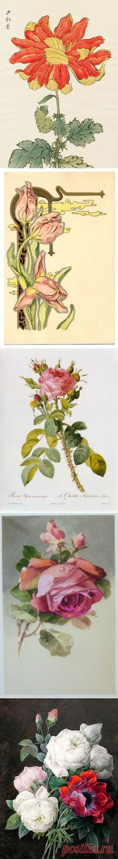 (25) Pinterest • Всемирный каталог идей