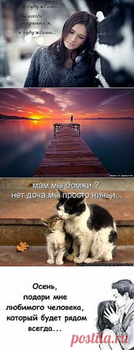 Одноклассники