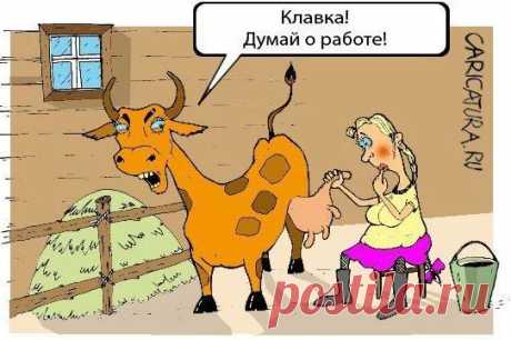 Анекдоты читать полезно всегда,даже по пятницам!!) 
Он:- Дорогая, я хочу ребенка!Она:- Давай сразу уточним: сделать или вырастить?* * *- Ты как со своей женой познакомился?- Да случайно в кафе встретились с ней глазами. Она улыбнулась и сказала: "Тепе…