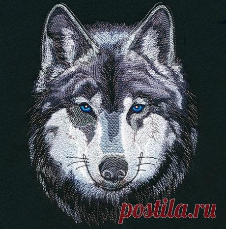Волк 🐺 
#волк #волкмашиннаявышивка #машиннаявышивкаузбекистан