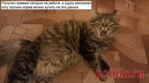 Интересные новости