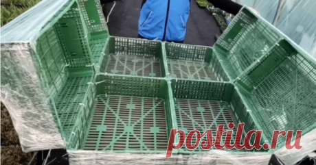 Самый удобный и простой мобильный парник, все сорта как по полочкам Во многих регионах дачники и огородники сталкиваются с тем, что без дополнительной защиты и тепла их «зеленые питомицы» попросту не могут обойтись. На помощь в этом случае приходит давно проверенный способ — теплица или парник, которые, конечно, могут быть совершенно разных видов и размеров, а главное их можно сделать и своими руками.