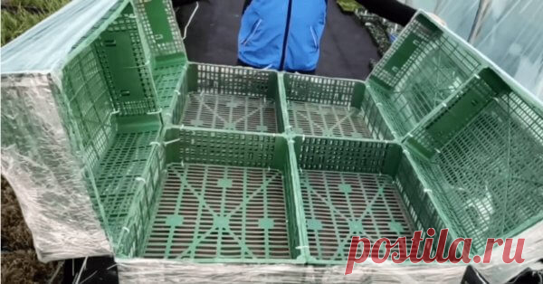 Самый удобный и простой мобильный парник, все сорта как по полочкам Во многих регионах дачники и огородники сталкиваются с тем, что без дополнительной защиты и тепла их «зеленые питомицы» попросту не могут обойтись. На помощь в этом случае приходит давно проверенный способ — теплица или парник, которые, конечно, могут быть совершенно разных видов и размеров, а главное их можно сделать и своими руками.