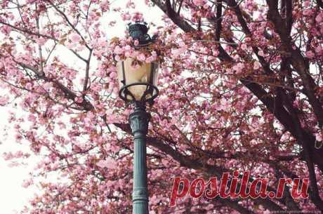 Успех ― как стиль жизни.На свете много людей, у которых жизнь просто набита яркими событиями. Или они просто умеют видеть ее такой — яркой, интересной, насыщенной.