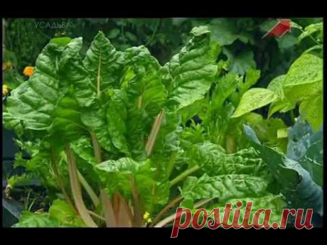▶ Огород без хлопот - Удобрение для огорода ( 8 серия ) - YouTube