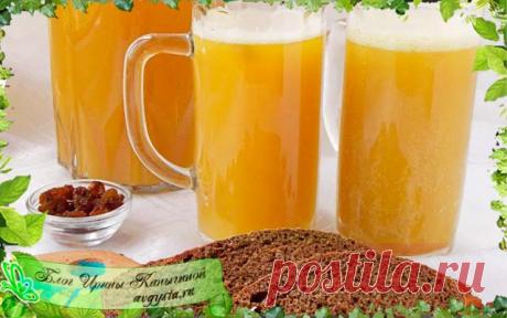 Рецепт домашнего кваса из черного хлеба: как сделать правильно