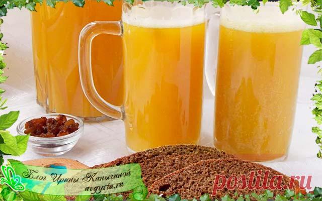 Рецепт домашнего кваса из черного хлеба: как сделать правильно