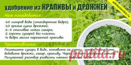 Удобрение из крапивы для подкормки растений | WikiBotanika.ru