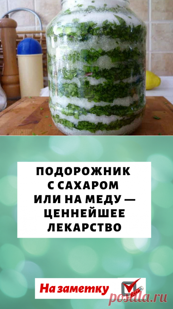 Подорожник с сахаром или на меду — ценнейшее лекарство на весь год!