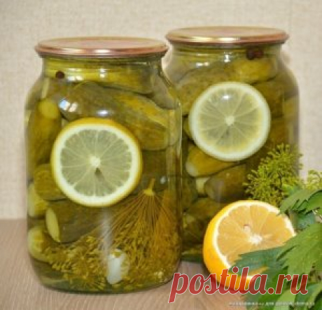 ОЧЕНЬ,ОЧЕНЬ ВКУСНЫЕ ОГУРЧИКИ  "Пражские"
Огурчики получаются сладкие ,мои детишки кушают их с удовольствием !
Нам понадобится на одну банку объёмом 1 литр:Огурцы ~12 штук небольшие
Тонкий кружок лимона
~~
Маринад:
0,5 литра воды
20 гр крупной соли
75 гр сахара
Лимонная кислота – 0,5 ч.л.
~~
На дно банки:
2 зубчика чеснока
2 шт. лаврового листа
2 шт. лист чёрной смородины
1 см корня хрена (я заменяю листом)
1 зонт укропа
3 шт. душистого перца
От себя добавляю ещё эстрагон (тархун) и лист вишни.
Н