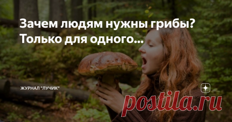 Зачем людям нужны грибы? Только для одного... Скорее, это люди зачем-то нужны грибам, потому что грибы людям не нужны точно. Кроме одного случая...