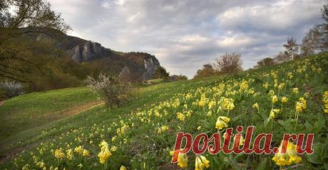 Весенний Крым