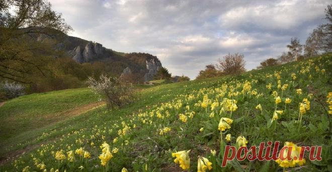 Весенний Крым