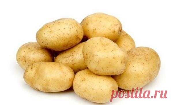 Картофель 