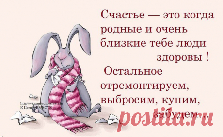 Новости