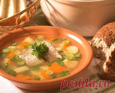 Безукоризненная уха | Четыре вкуса
