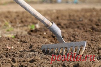 Готовим грядку для посадки, или 3 способа 