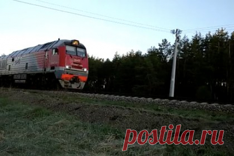 Движение на перегоне в Брянской области после схода состава восстановлено. Движение поездов на перегоне Унеча — Рассуха в Брянской области, где сошли с рельсов несколько вагонов, восстановлено. Об этом сообщается в Telegram-канале холдинга «Российские железные дороги» (РЖД). Отмечается, что движение поездов открыли в 04:53 по московскому времени.