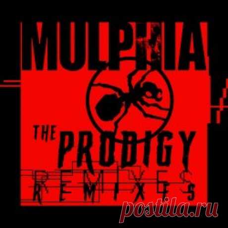 Mulphia - The Prodigy Remixes (2025) Artist: Mulphia Album: The Prodigy Remixes Year: 2025 Country: Slovakia Style: Electro-Industrial, EBM