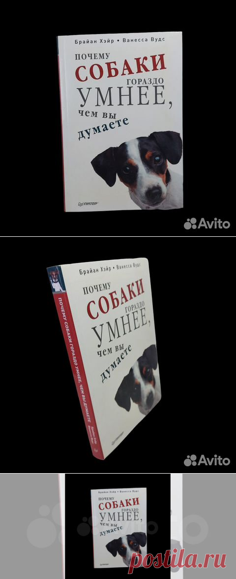 Почему собаки гораздо умнее, чем вы думаете Хэйр Б.,... купить в Москве | Авито
