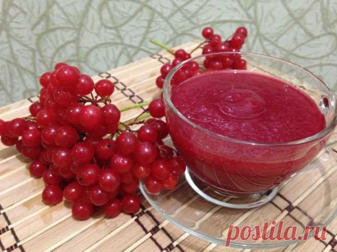 Средства и травы, выводящие мокроту из легких и бронхов