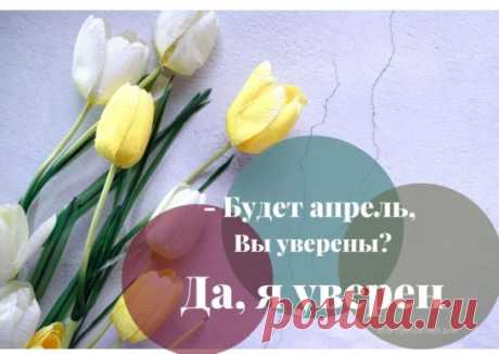 -  Будет  апрель,  Вы  уверены?
-  Да,  я  уверен 
Я  уже  слышал,  и  слух  этот  мною  проверен,
Будто  бы  в  роще  сегодня  звенела  свирель.
-  Что  же  из  этого  следует?
-  Следует  жить 
#вдохновение #мойпрекрасныйдом