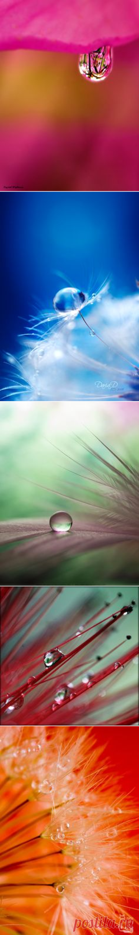 Pinterest • Всемирный каталог идей