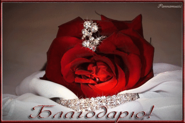 Прижизненное очищение от зла - TERRA-ALTAIR - Группы Мой Мир