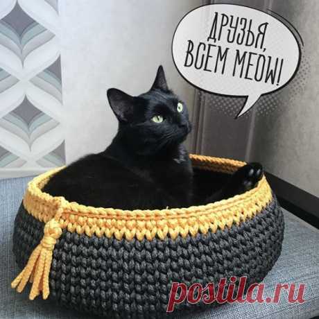 Удивительные вязаные домики лежанки для кота крючком - идеи для вязания и вдохновения