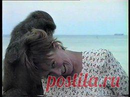 Видео в рубрике: "Наши домашние животные"