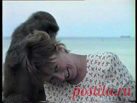 Видео в рубрике: &quot;Наши домашние животные&quot;