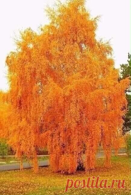 Полезно знать . Советы , Лайфаки . — Фото | OK.RU