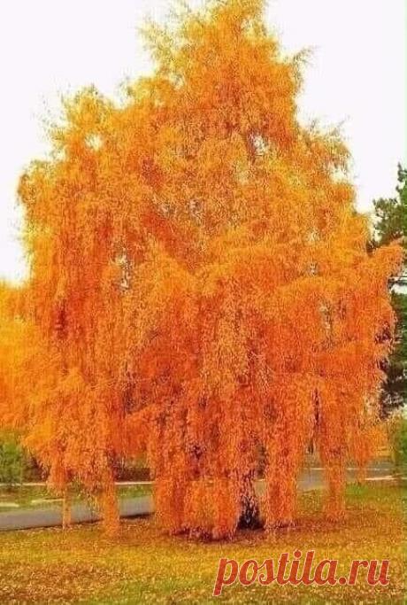 Полезно знать . Советы , Лайфаки . — Фото | OK.RU