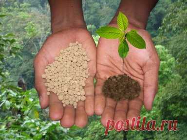 Комплексное удобрение Bio Plant обеспечивает фиксацию азота, фосфата, калия, улучшает физика - химические свойства почвы, снимает её уплотнения, делает её более водоудерживающей. Растения делает более устойчивыми к болезням, подавляет рост и распространение патогенных бактерий, уменьшает риск заболеваний, уничтожает почвенные болезни и насекомых-вредителей, увеличивает производство (плодоносность)