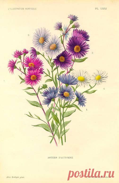 Pinterest: инструмент для поиска и хранения интересных идей