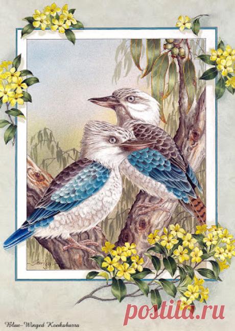 Удивительная птица картины Арт - самых удивительных и знаменитых картин птица | самые удивительные вещи в мире, невероятный, прикольный, уникальные вещи на Земле