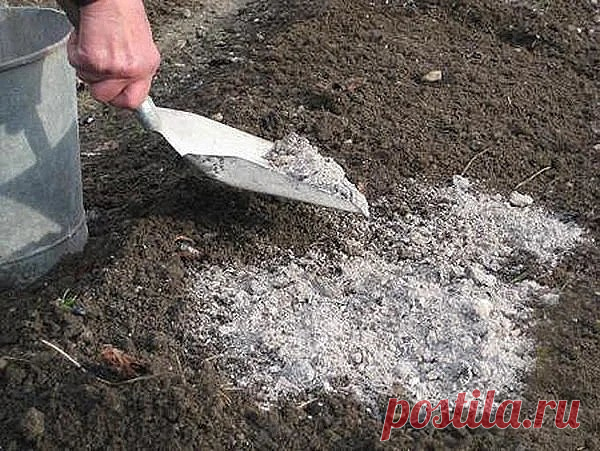 НЕОБХОДИМОСТЬ РАСКИСЛЕНИЯ ПОЧВЫ | Журнал 