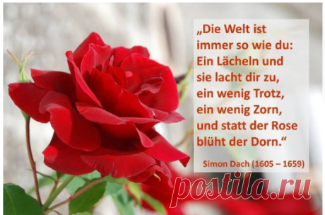 Поиск новостей по запросу #zitate_auf_deutsch