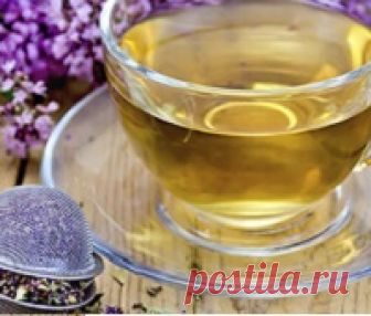 Чай с чабрецом: польза и вред | Мир Здоровья и Красоты Чай с чабрецом: польза и вред. Как заварить чабрец для чая. Чай с чабрецом: польза для мужчин и женщин. Зеленый чай с чабрецом: польза. Чай с чабрецом и мятой: полезные свойства. Видео.
