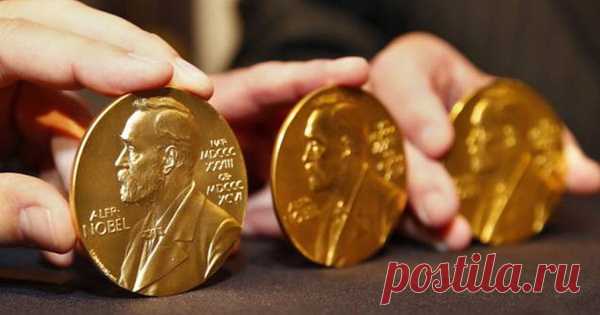 8 скандальных случаев вручения Нобелевской премии — Интересные факты