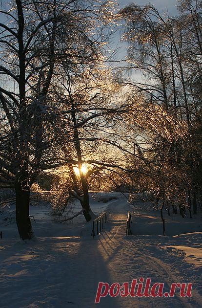 Измайловский парк, Москва. Январь 2011 г.