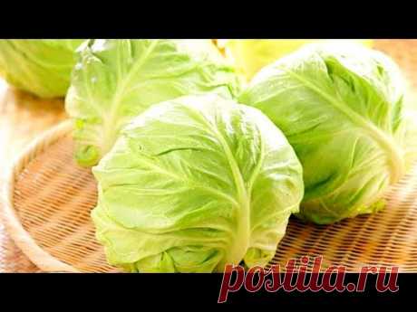 ТЕПЕРЬ КАПУСТУ ПОКУПАЮ ЧАЩЕ! ПРИГОТОВИЛА БЕЗУМНО ВКУСНЫЙ УЖИН ИЗ КАПУСТЫ! (необычные Голубцы)