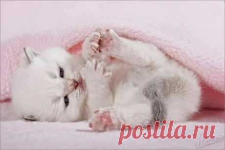 (1) Facebook