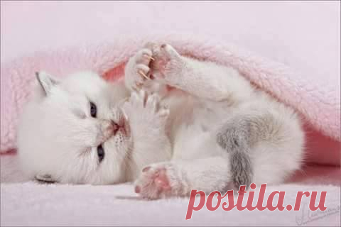 (1) Facebook