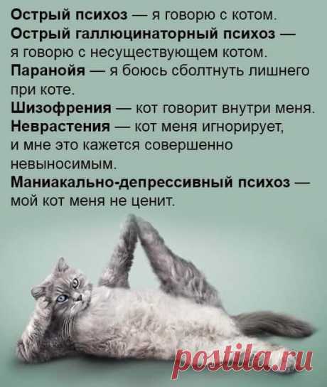 #несерьезное